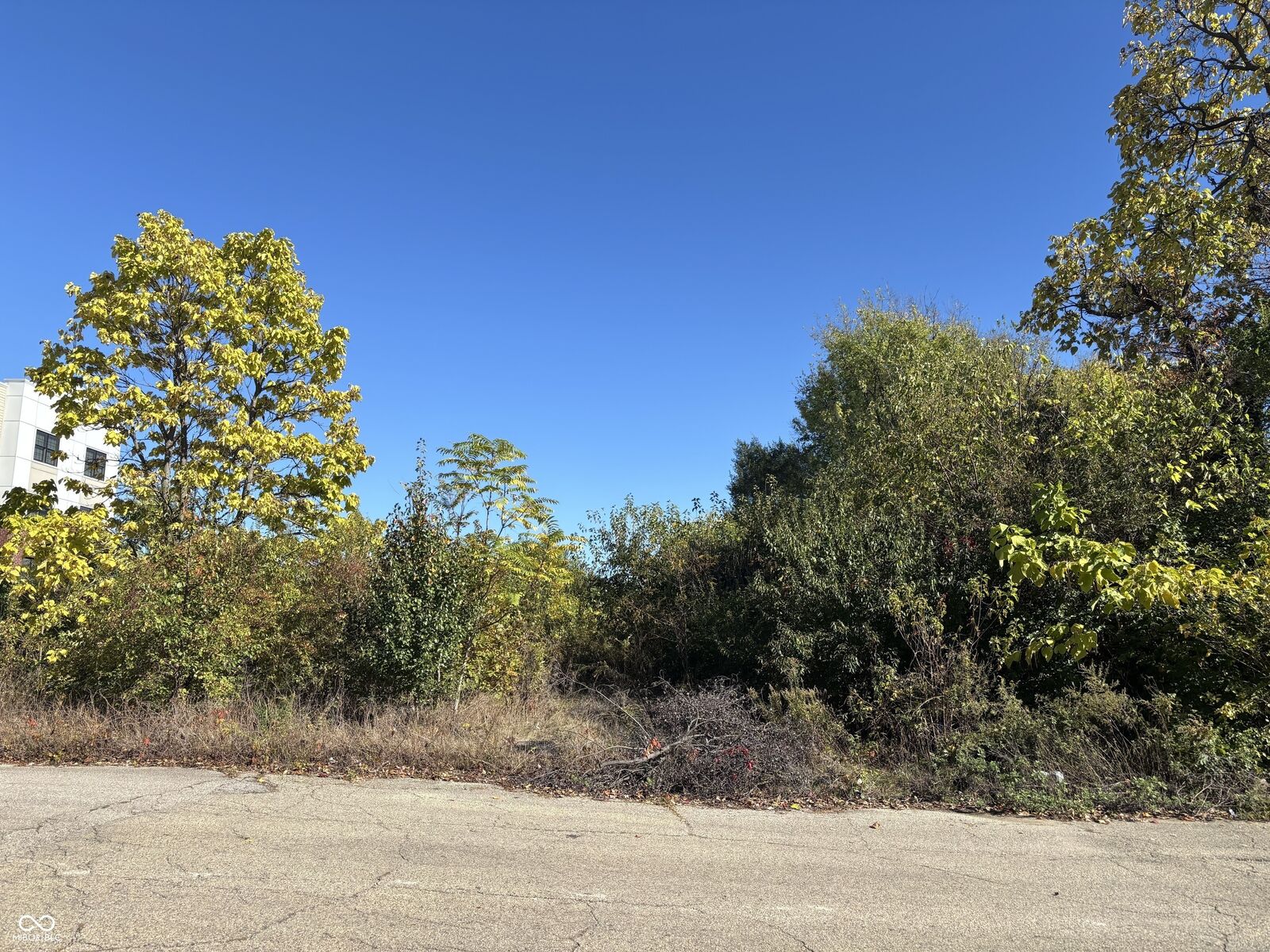 Property Photo:  2069 + Yandes  IN 46202 