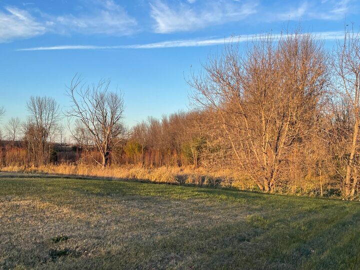 Property Photo:  Lot 6 Block 1 Donway Drive NE  MN 56308 