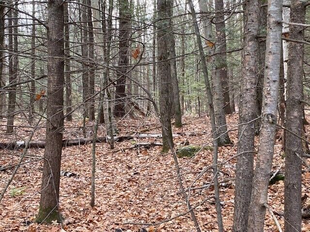 Property Photo: Lt 55 Wendell Rd MA 01355