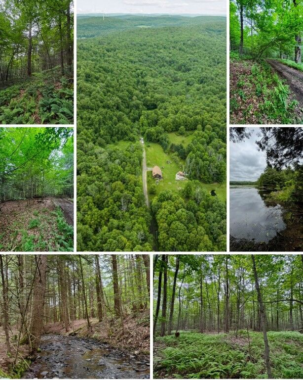 Property Photo:  308 Tennent Road 1  NY 13865 