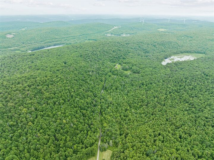 Property Photo:  308 Tennent Road 3  NY 13865 