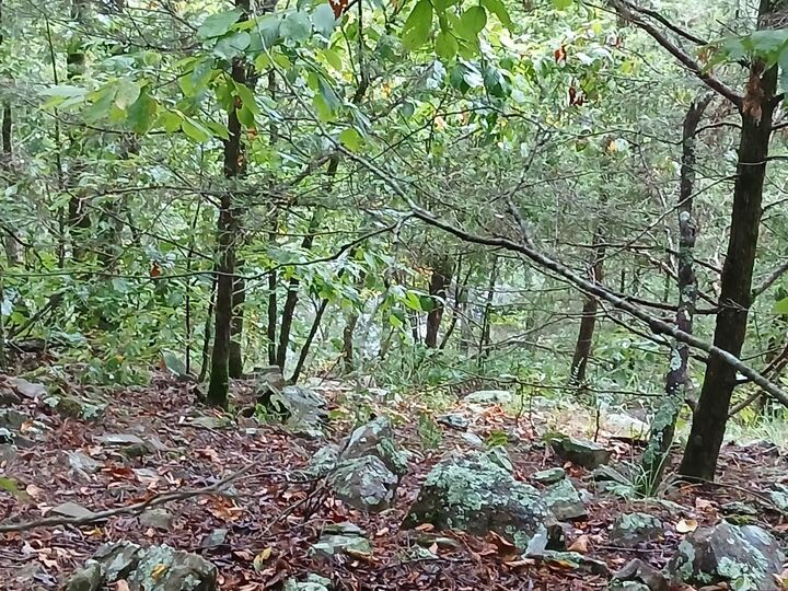 Property Photo:  Unk Polk Road 74  AR 71953 