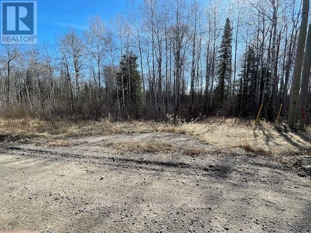 Property Photo:  191 Lakeview Road  ON P8N 2Y4 