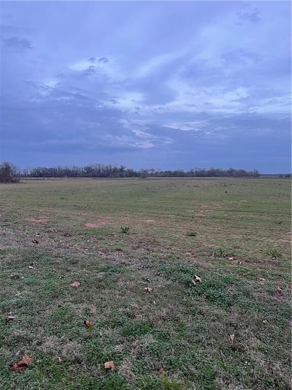 Property Photo:  175 Old River Rd Road  LA 71457 