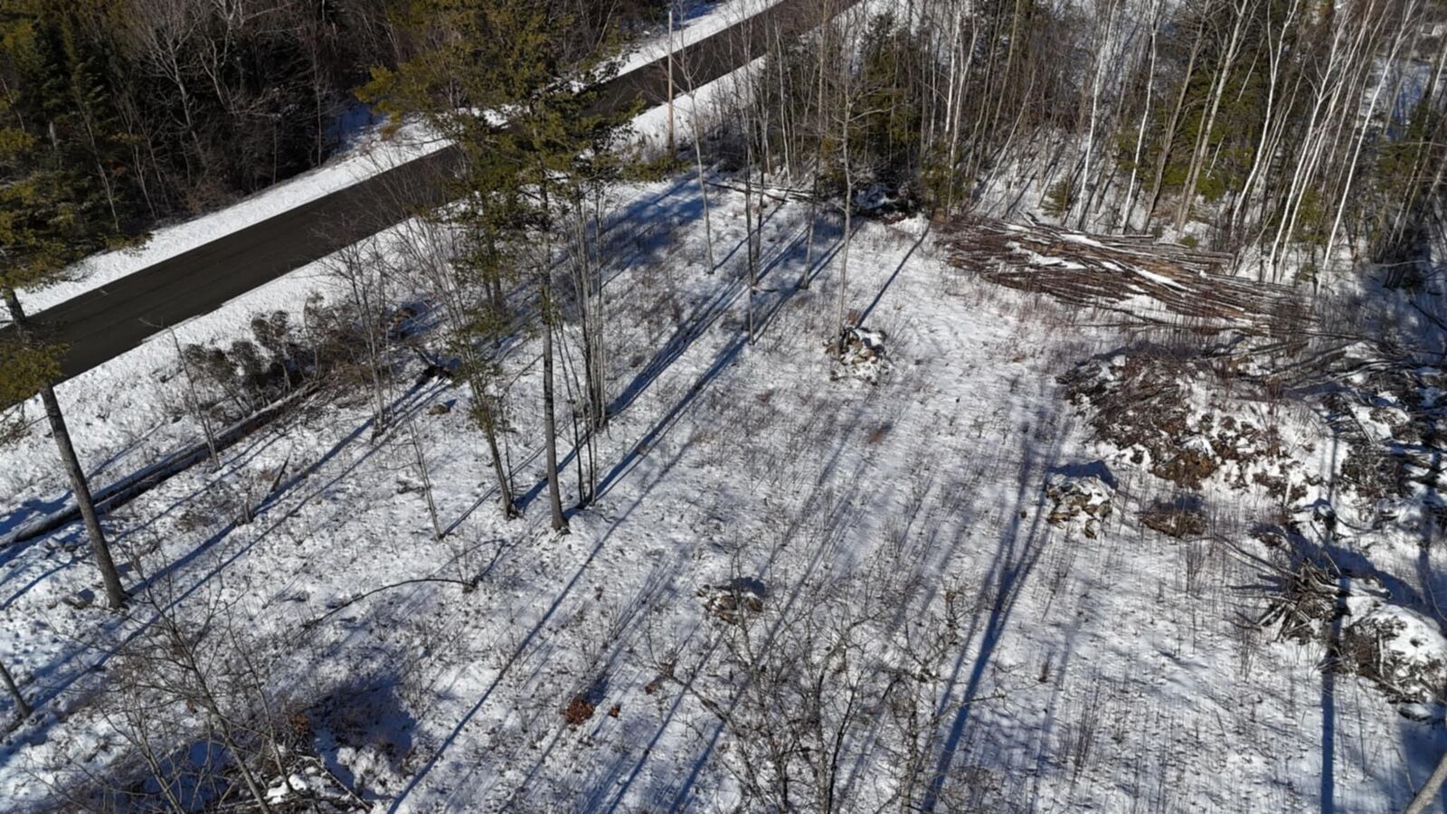 Property Photo:  Map17lot53 Grant Road  ME 04473 
