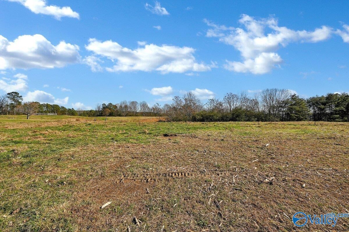 Property Photo:  215 County Road 83  AL 35033 