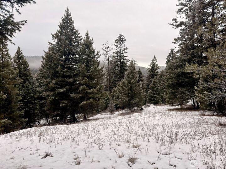 Property Photo: 25 Miner'S Ridge Road WA 98844