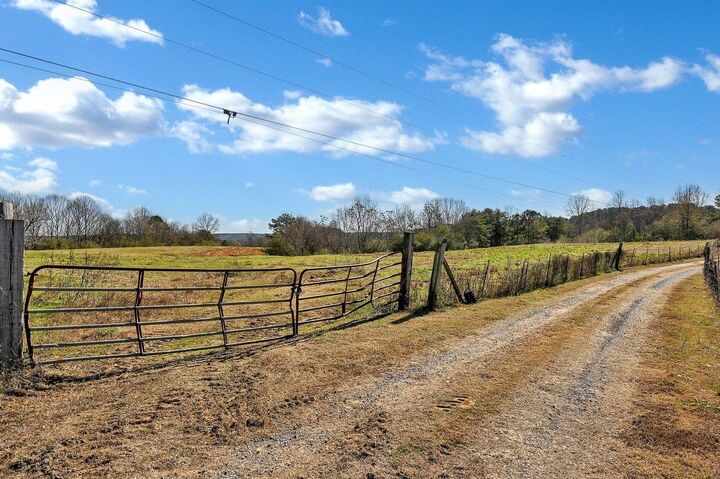 Property Photo:  215 Co Rd 83  AL 35033 - BREMEN 