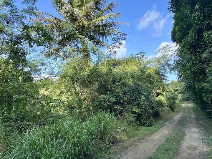 Property Photo: 7-B Jolly Hill We VI 00840