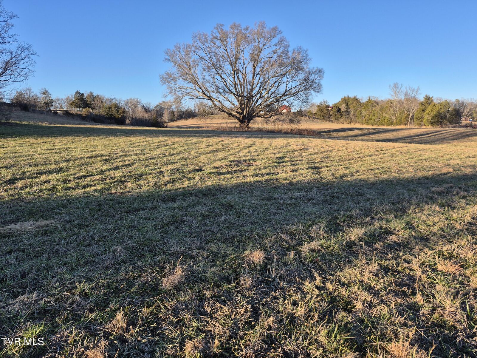 Property Photo:  0 Cw Kite Ln  TN 37818 