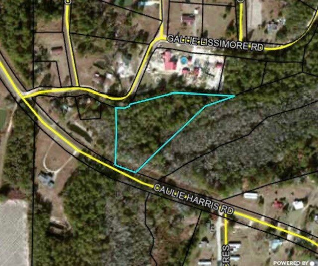 Property Photo: Lot 3 Caulie Harris Rd. GA 31620