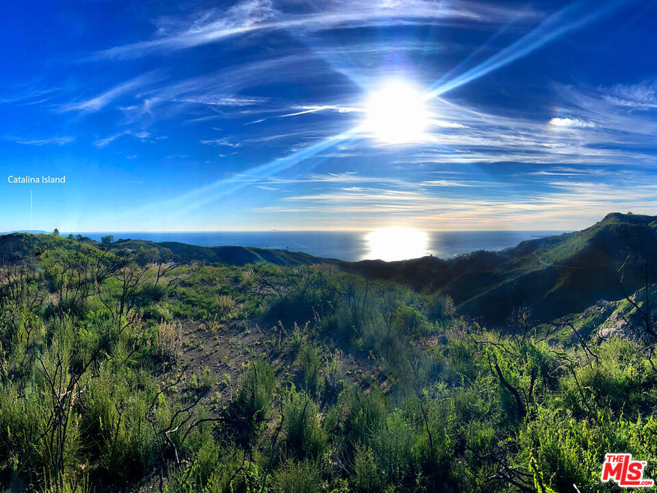 Property Photo:  2825 Tuna Canyon Rd  CA 90290 