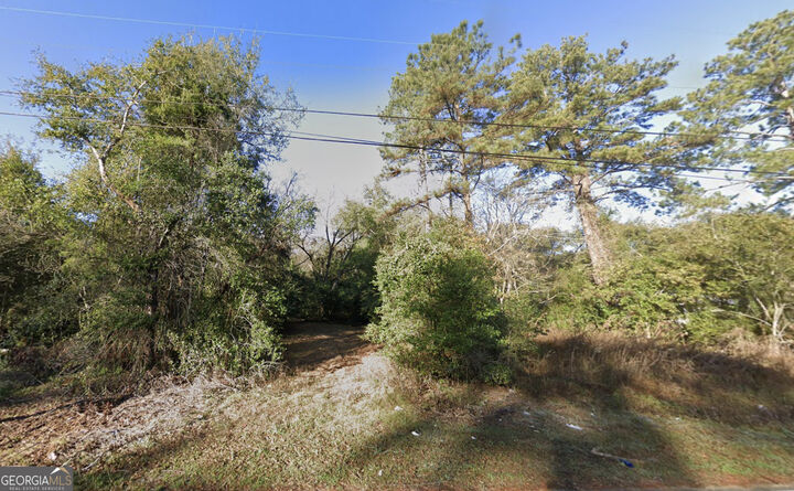 Property Photo:  709 N Miller Avenue  GA 39817 