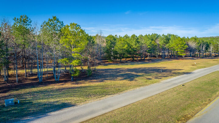 Property Photo:  0 River Bluffs Drive  TN 37347 