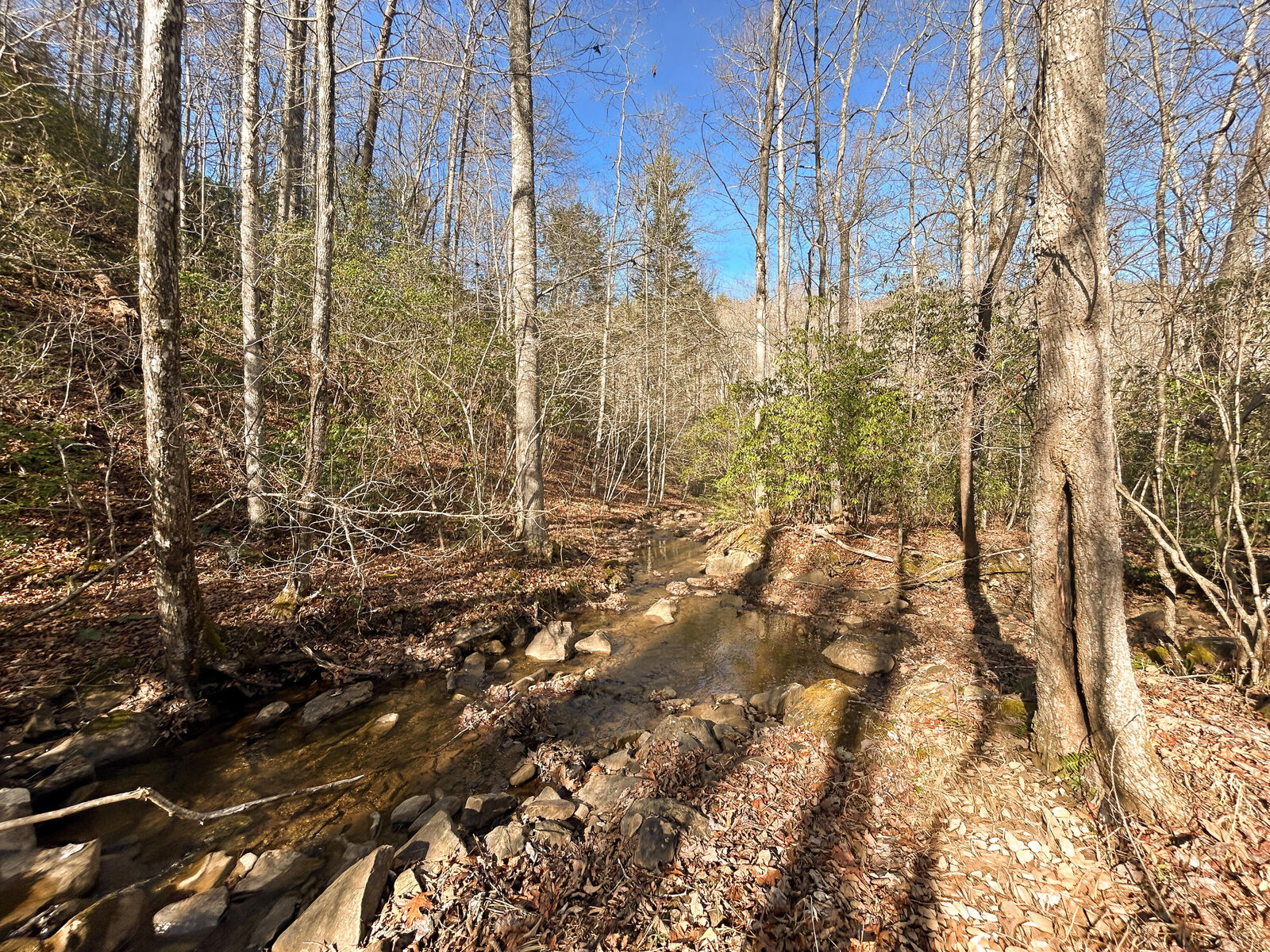 Property Photo:  0 Deerhead Road  TN 37327 