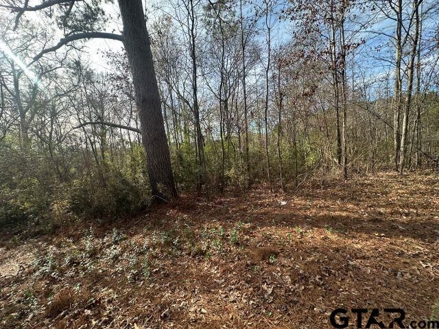 Property Photo: Tbd Cr 286 TX 75946