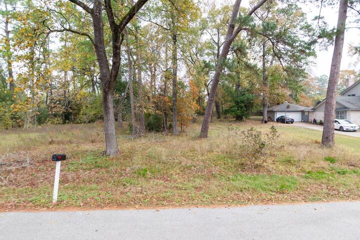 Property Photo:  24510 Pine Canyon Dr  TX 77380 