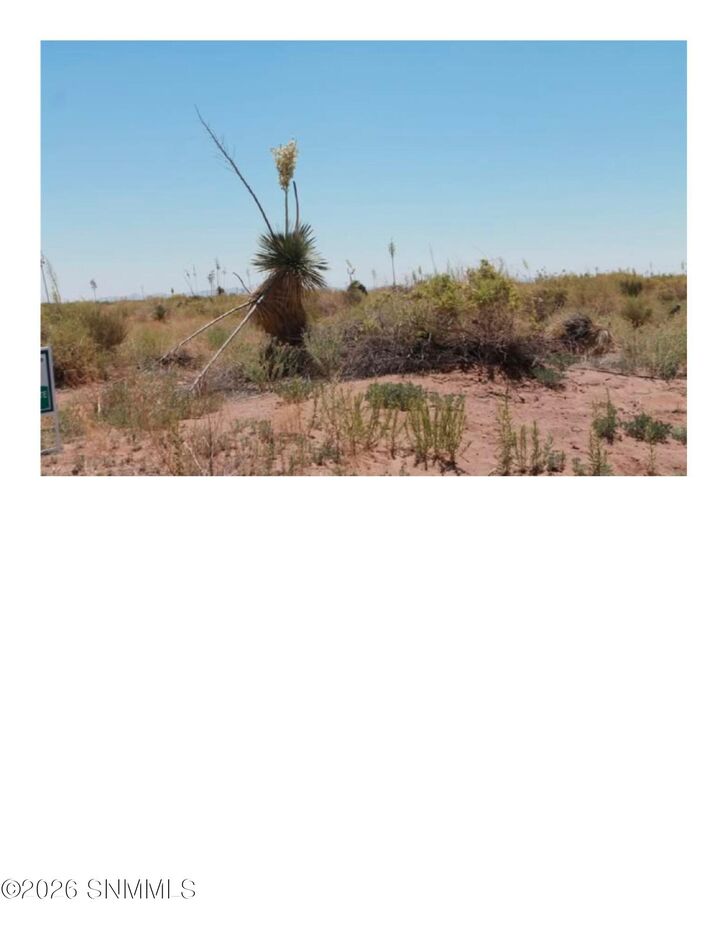 Property Photo:  0000 SW Paintbrush Road Road  NM 88030 