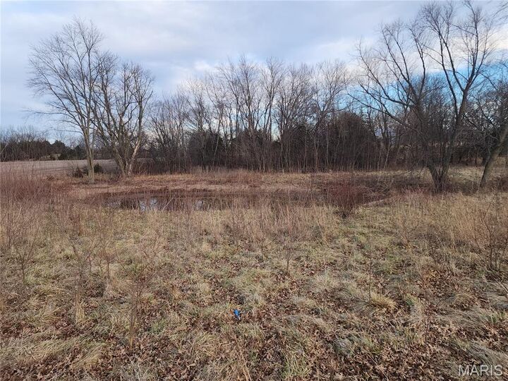 Property Photo: 0 Mac Lane MO 63379