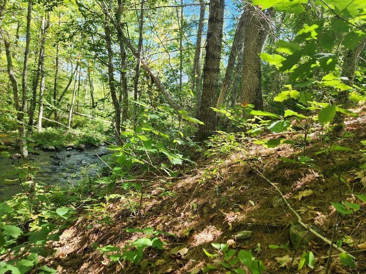 Property Photo: 28 Cemetery Road ME 04941