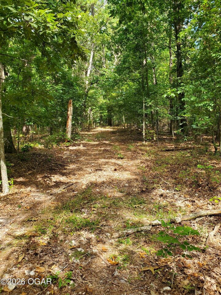 Property Photo: 000 Highway H MO 64854