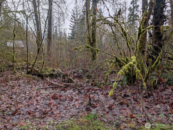 Property Photo: 16006 Shuksan Rim Drive WA 98244