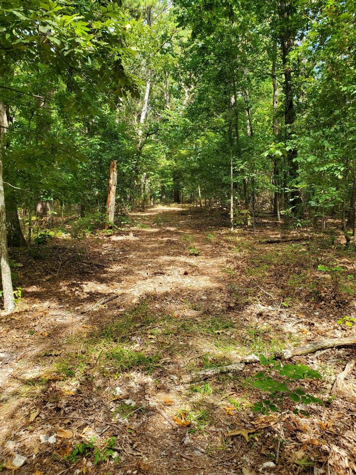 Property Photo:  000 Highway H  MO 64854 