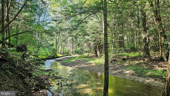 Property Photo:  91.32 Acres Mahaffey Grampian Highway  PA 15757 