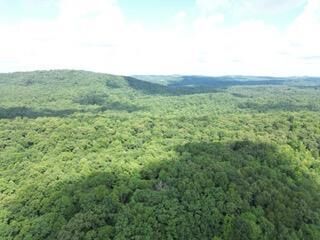 Property Photo: 995 Keith Salem Road GA 30736