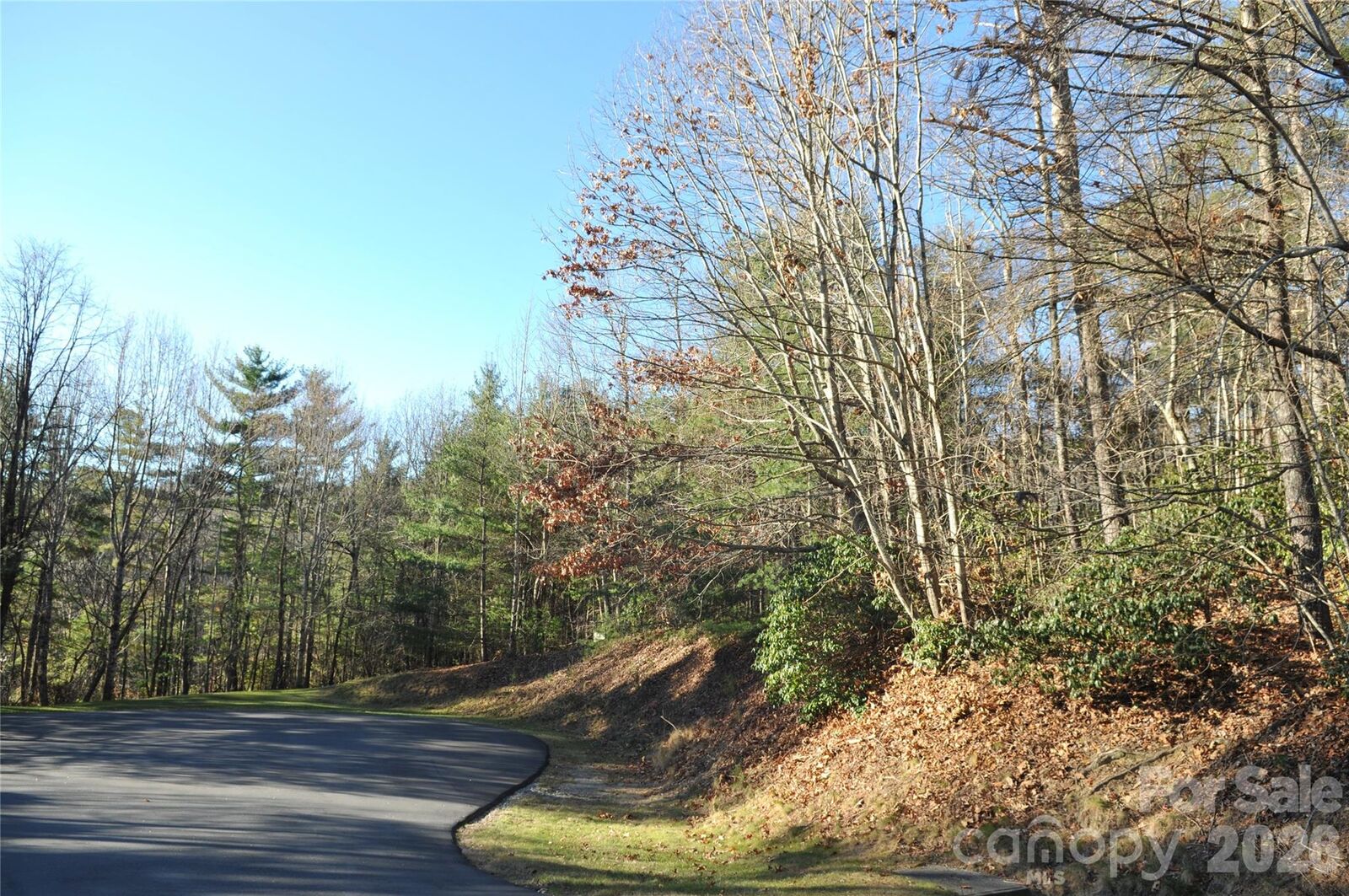 Property Photo:  000 Didrikson Way 244  NC 28739 