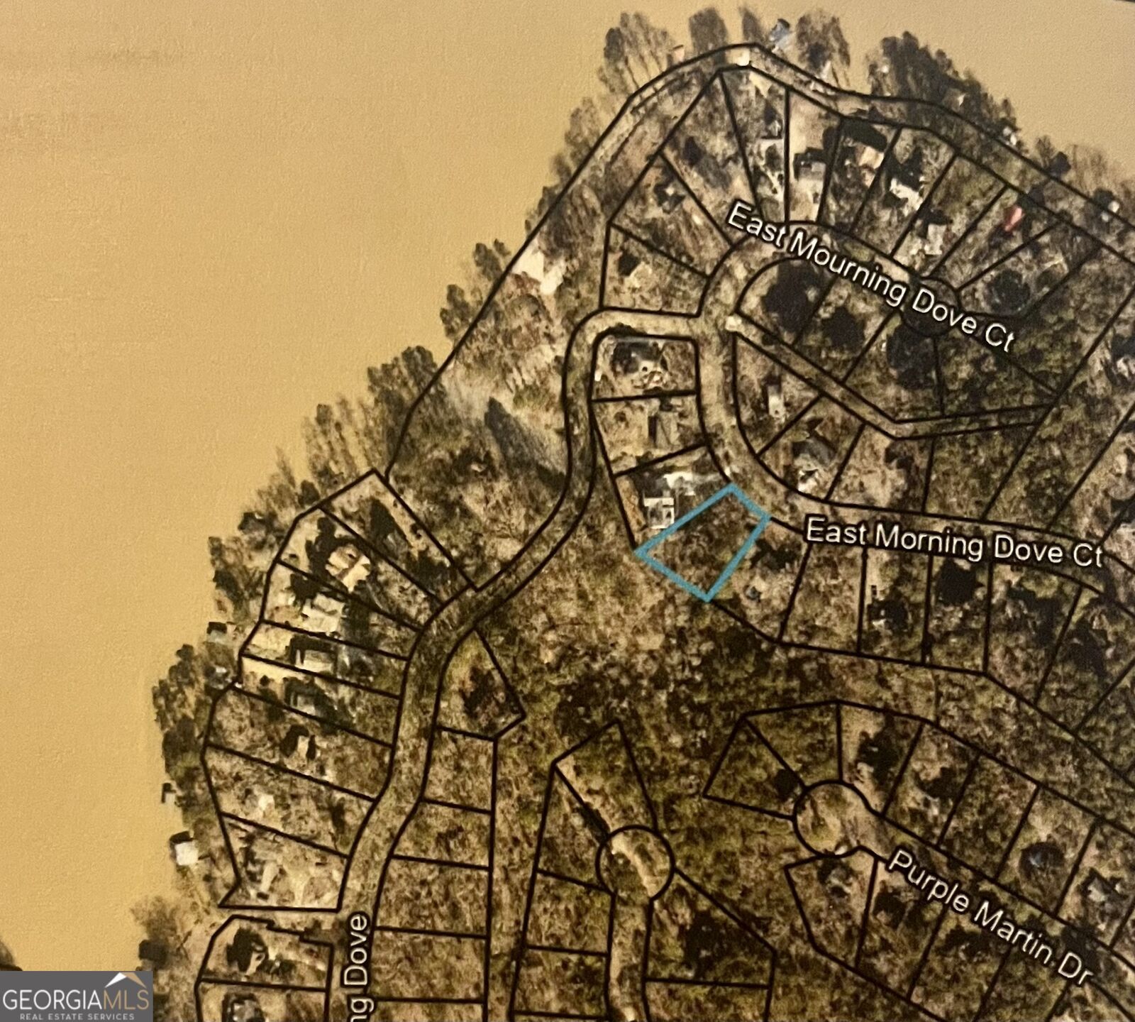 Property Photo:  0 E Mourning Dove Court Lot 50  GA 31064 