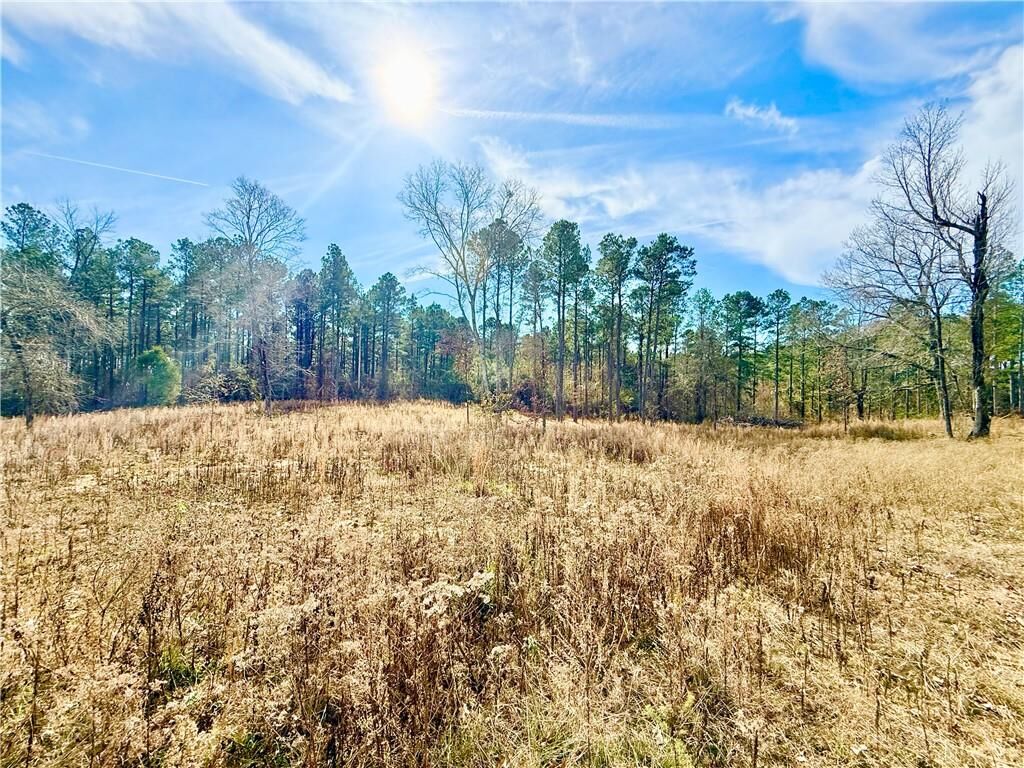 Property Photo:  Windmill Drive  LA 71342 