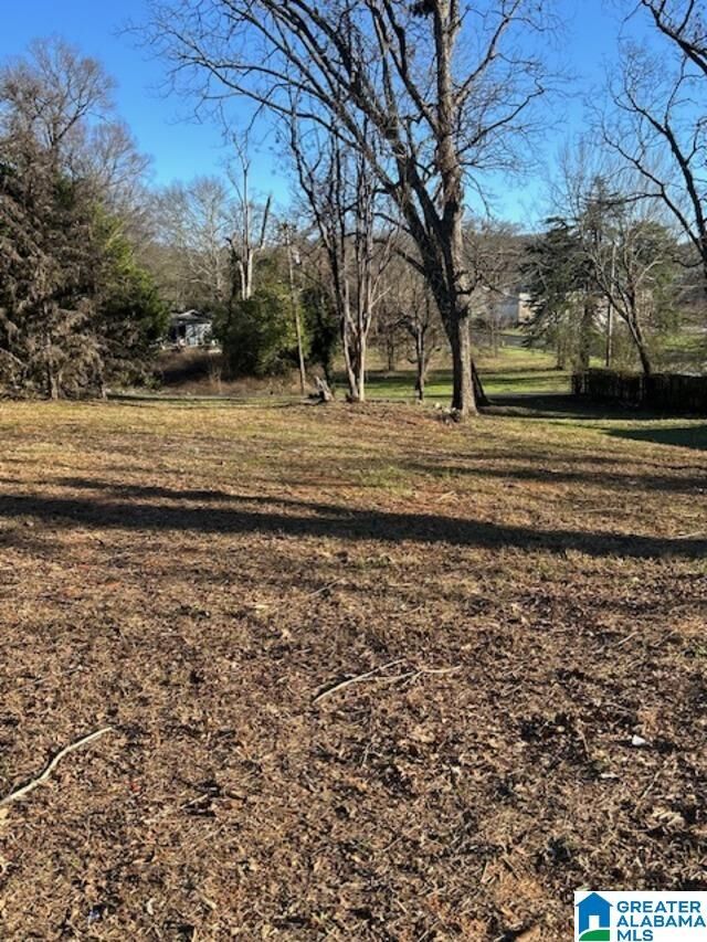 Property Photo: 7809 2nd Avenue 20 AL 35206