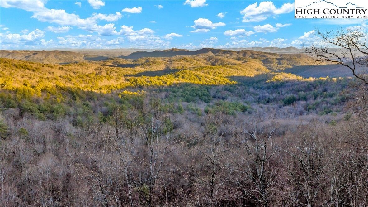 Property Photo:  Tbd Lump Road  NC 28665 