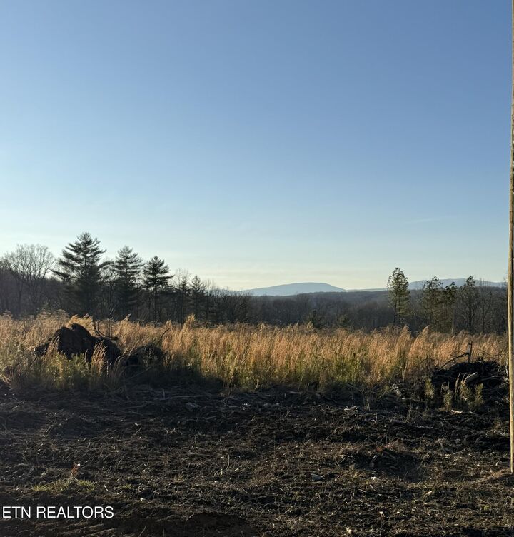 Property Photo: Possum Trot Rd. - Tract 10 TN 37337