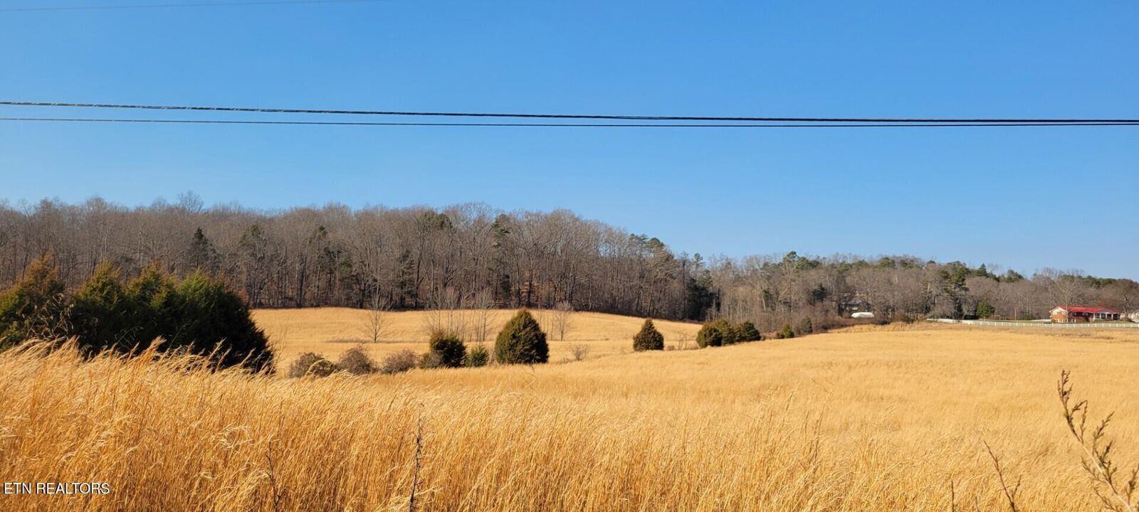 Property Photo:  201 Evans Rd  TN 37763 