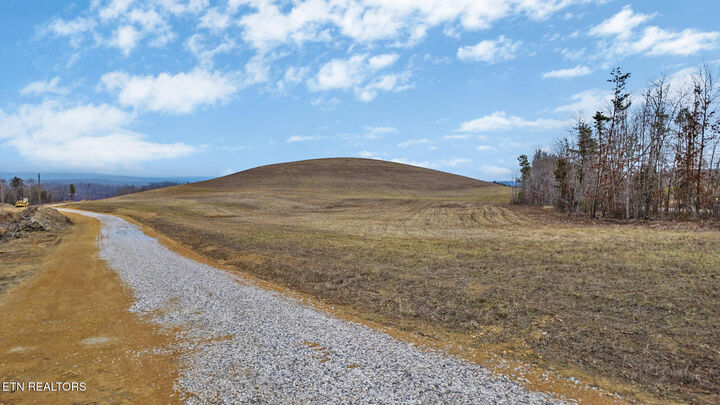 Property Photo: Possum Trot Rd. - Tract 7 TN 37337