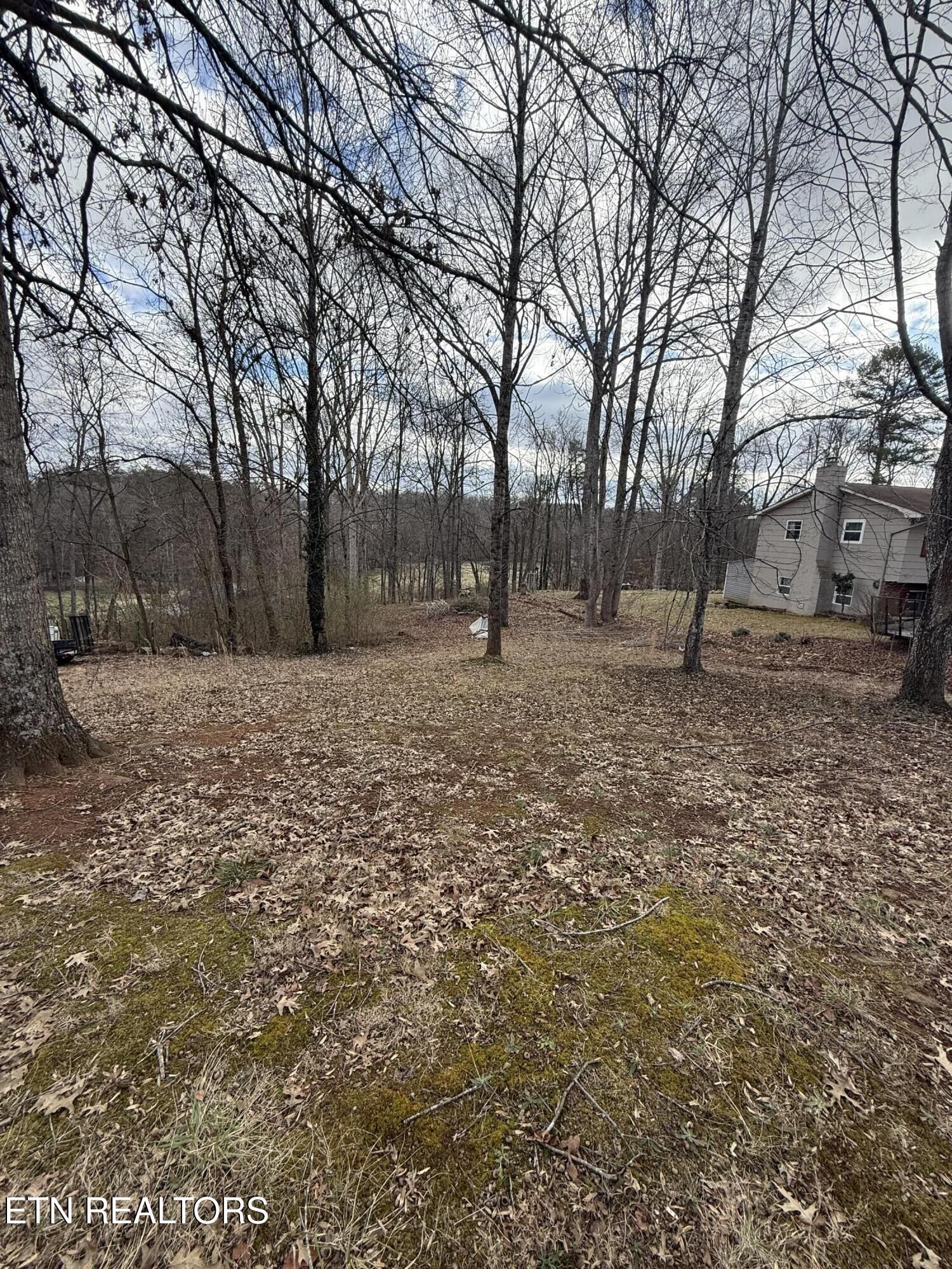 Property Photo:  Melissa Lane  TN 37801 