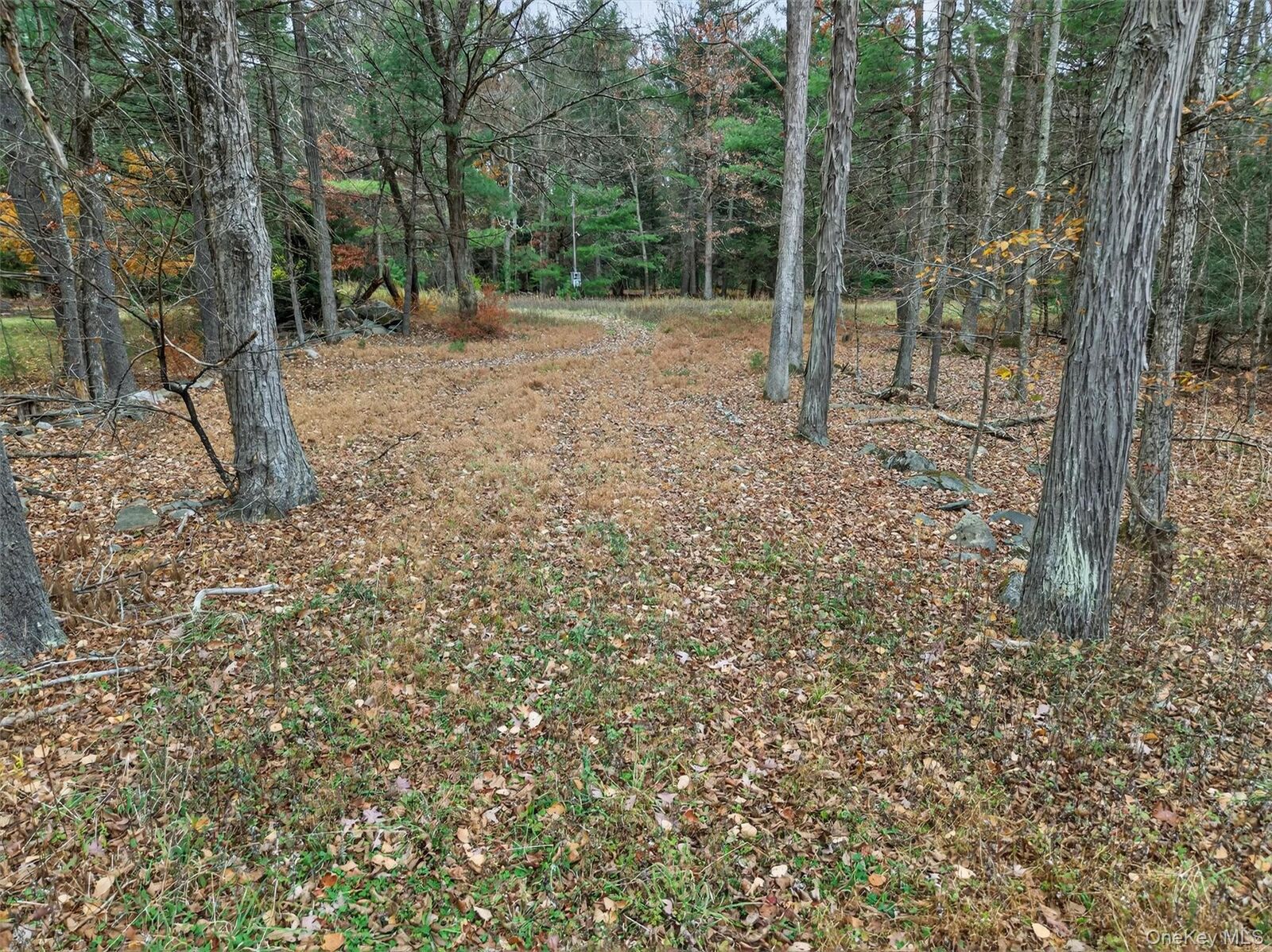 Property Photo:  742 Peenpack Trail  NY 12780 
