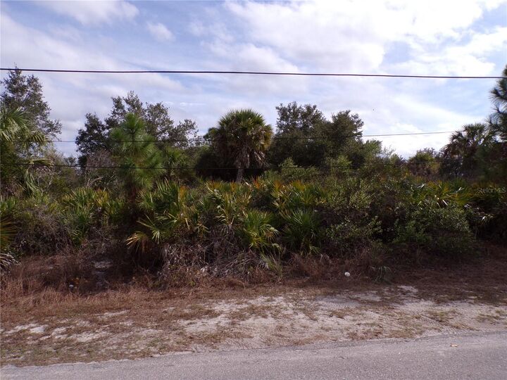 Property Photo:  Dryden Street  FL 34288 