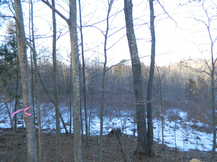 Property Photo:  R6-41-S5 Ridley Road  ME 04083 