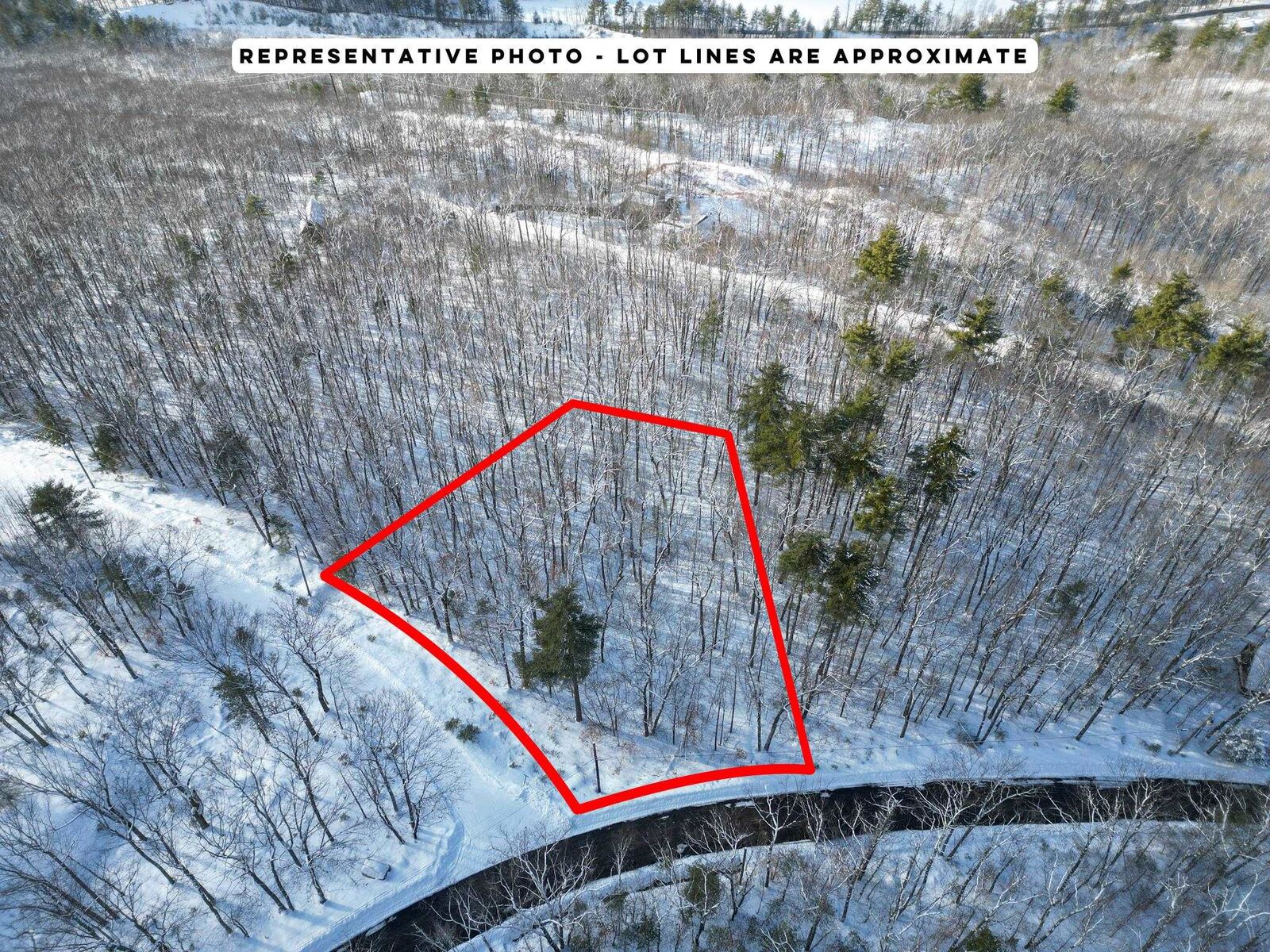 Property Photo:  13 Klausen Road  NH 03849 