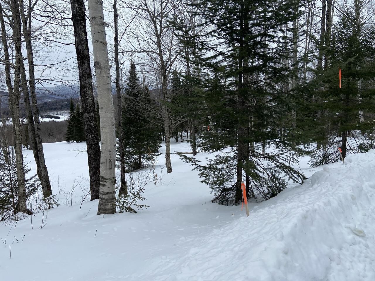 Property Photo:  48 Alberts Lane  VT 05674 