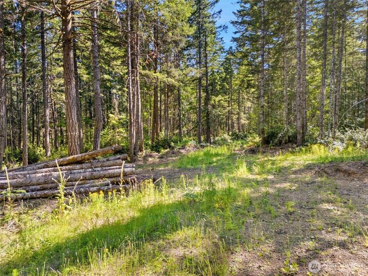 Property Photo:  0 Tr 4 E Mason Lake Road  WA 98546 