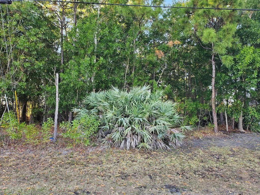Property Photo: 5436 NW Briscoe Drive FL 34986