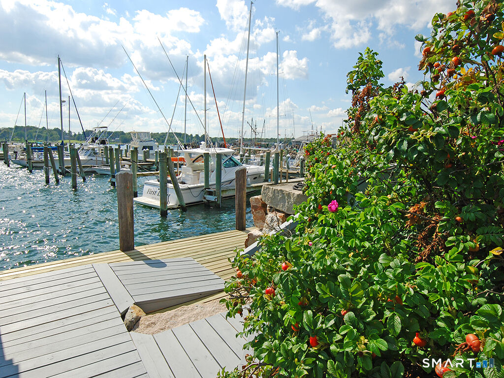 Property Photo:  4 Northwest Street B-2  CT 06378 