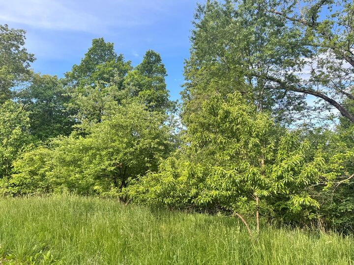 Property Photo: 250 Easterday Road OH 45601