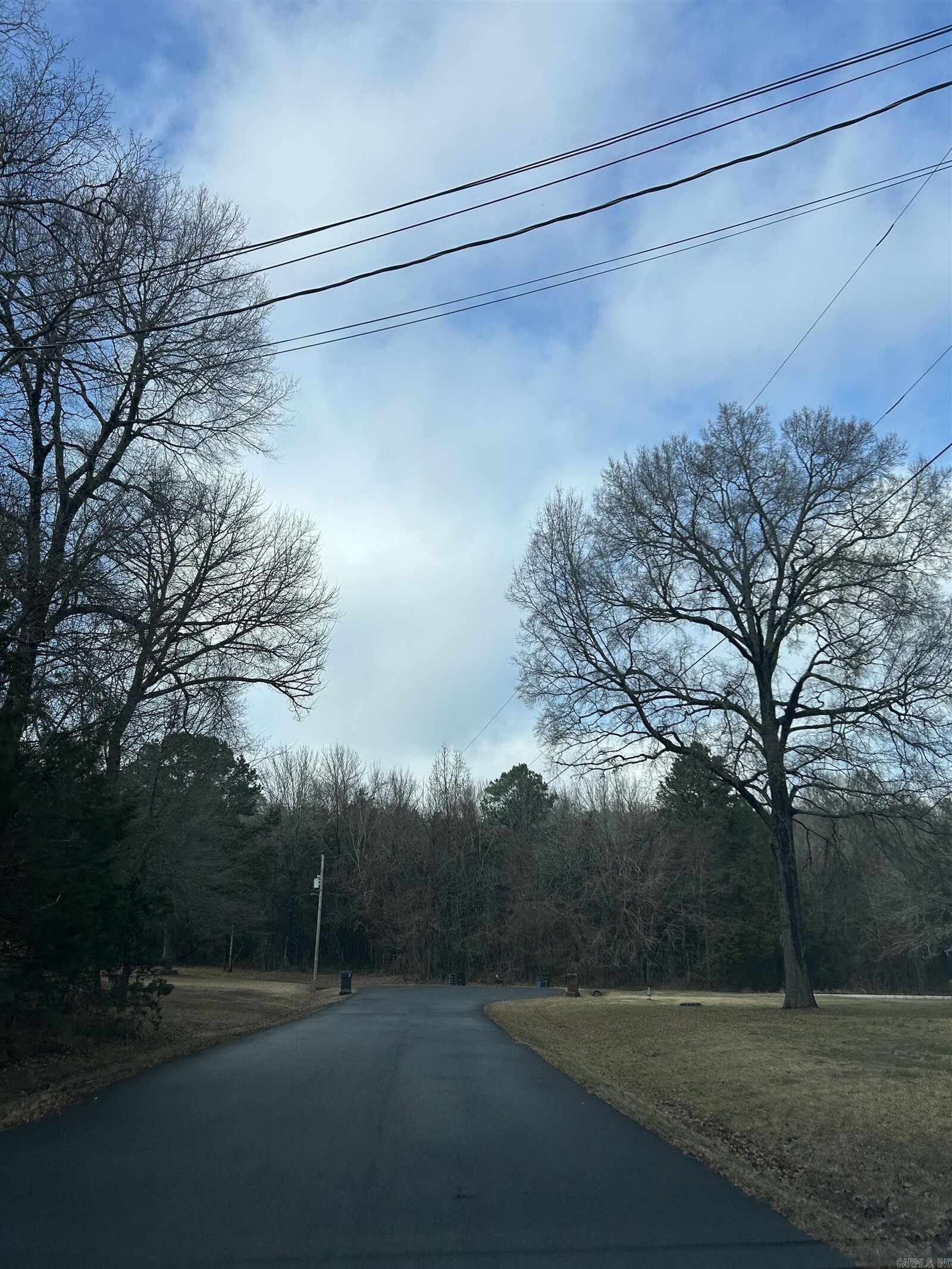 Property Photo:  00 Blake Cove Lane  AR 72058 