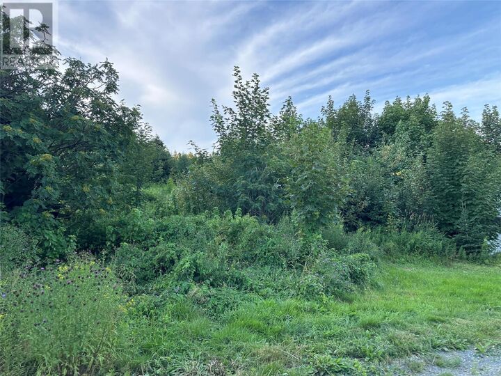Property Photo: 2 Merrigan's Lane NL A0A 1Y0