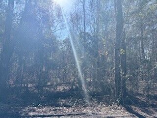 Property Photo:  138-140 Dogwood Lane  GA 31320 